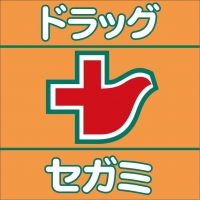 ドラッグセガミ内代店