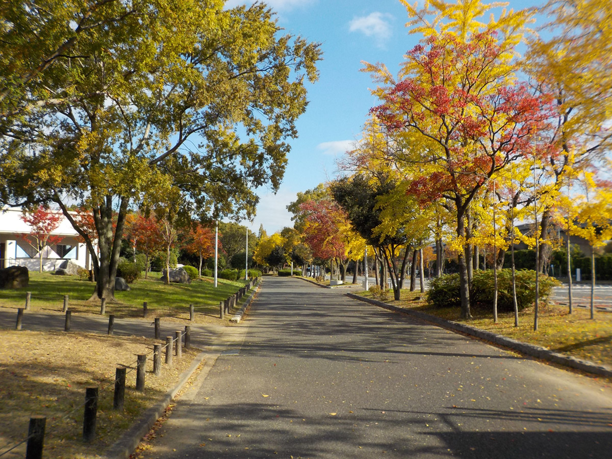 久宝寺緑地
